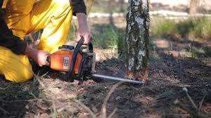 Best Lawn Watering Services  in Sandy Springs, GA